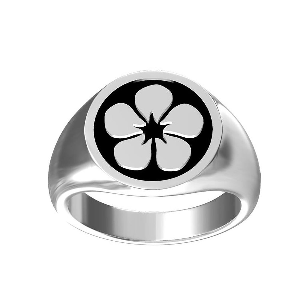New 925 silver ring, sterling silver jewelry, signet ring for man, size 5-10